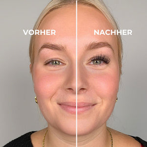 STYLE LX03 Light Volume